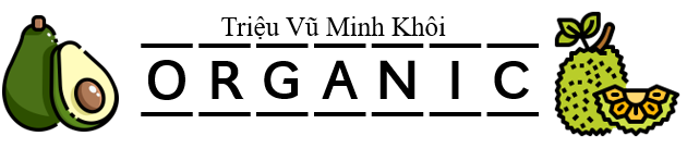 Trang chủ | Minh khôi